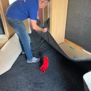 Gripper the Phoenix out fitting carpets