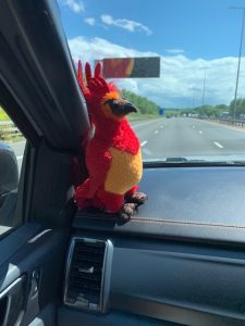 Gripper the Phoenix in the truck driving back to Bristol