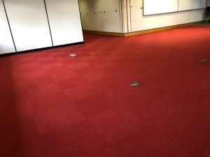 Bloodhound LSR New Flooring