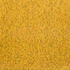 Coloured gold artificial grass