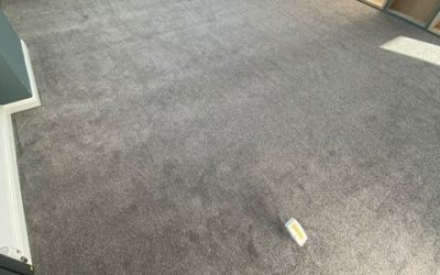 Lifestyle Floors Loomi carpet