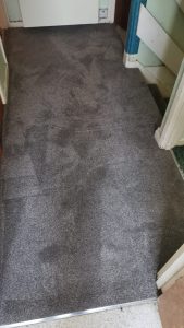 CORMAR CARPETS LINWOOD RANGE COLOUR CLOVER - LANDING