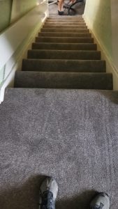CORMAR CARPETS LINWOOD RANGE COLOUR CLOVER - STAIRS