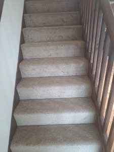 @Headlam Flooring - Chepstow Carpet colour Fawn supplied and fitted in Stoke Gifford, Bristol.