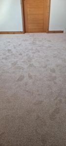 EMERALD HILLS ELITE CARPET COLOUR BISCUIT