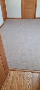 EMERALD HILLS ELITE CARPET COLOUR BISCUIT